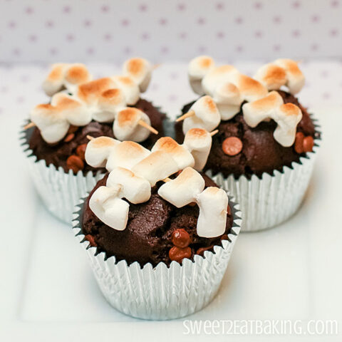 Campfire Cupcakes with Roasted Marshmallow Kabobs
