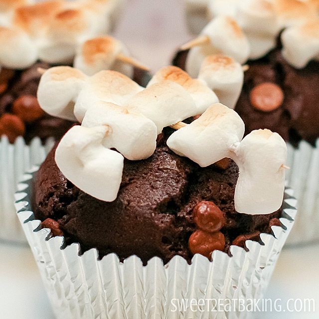 Campfire Cupcakes with Roasted Marshmallows by Sweet2EatBaking.com