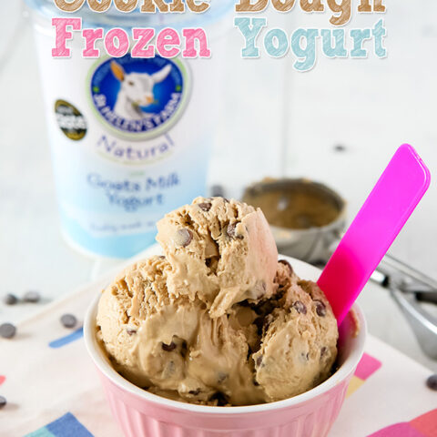 Chocolate Chip Cookie Dough Frozen Yogurt (Fro-Yo)