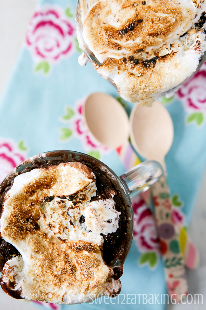 Indulgent Chocolate Fudge S'mores Mug Cake Recipe by Sweet2EatBaking.com